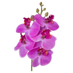 Umelá Rastlina Phalaenopsis