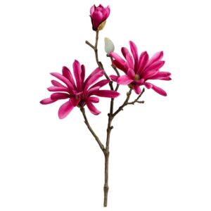 Umelá Rastlina Magnolie, V: 45cm